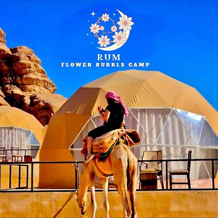 Rum Flower Bubbles Luxury Camp Ваді-Рам Екстер'єр фото